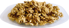 Walnut kernel ELH 90% Xiner Type