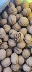 Washed walnut in shell Xingfu Type