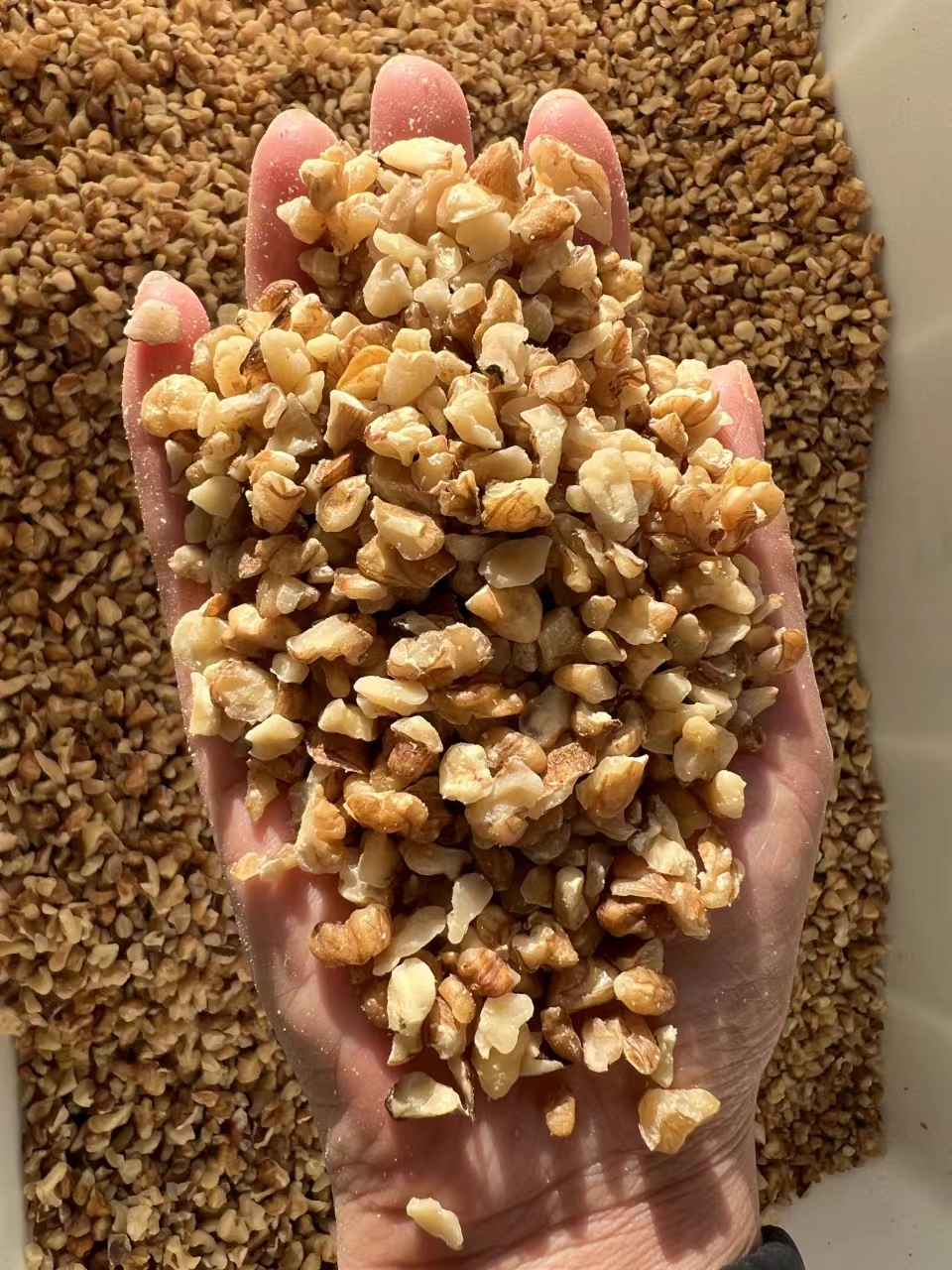 extra light and light walnut kernel broken (4-8mm)