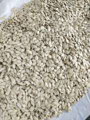 Shine Skin pumpkin seeds
