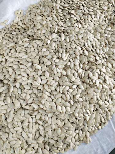 Shine Skin pumpkin seeds