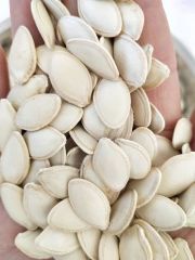 Shine Skin pumpkin seeds