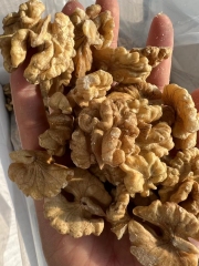 Walnut kernel ELH 90% Yunnan Type