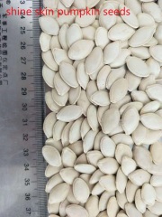 Shine Skin pumpkin seeds