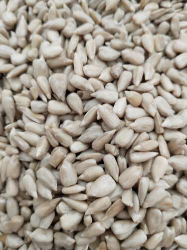 sunflower seeds kernel