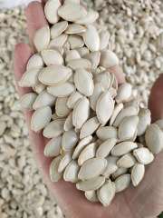 Shine Skin pumpkin seeds