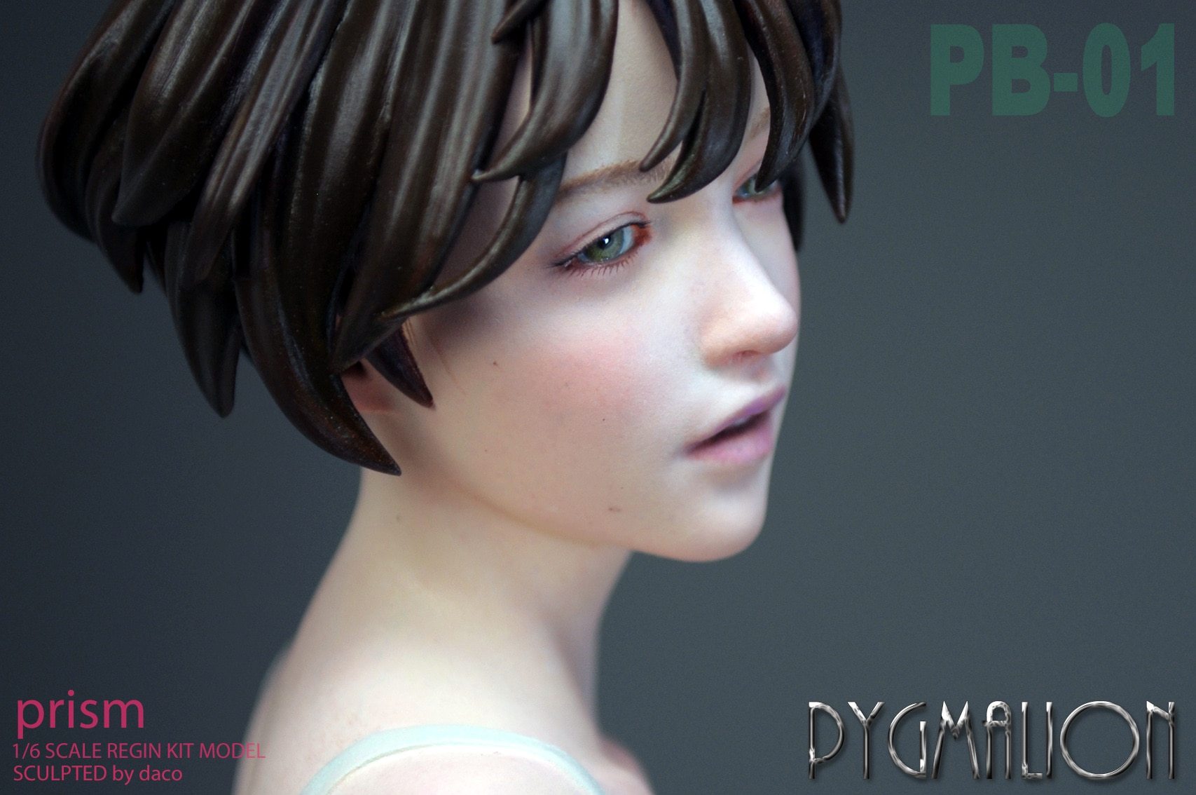 Garage Kit DPBY DACO female bust ratio unknown gk hand-made white model PB-01 black-haired girl