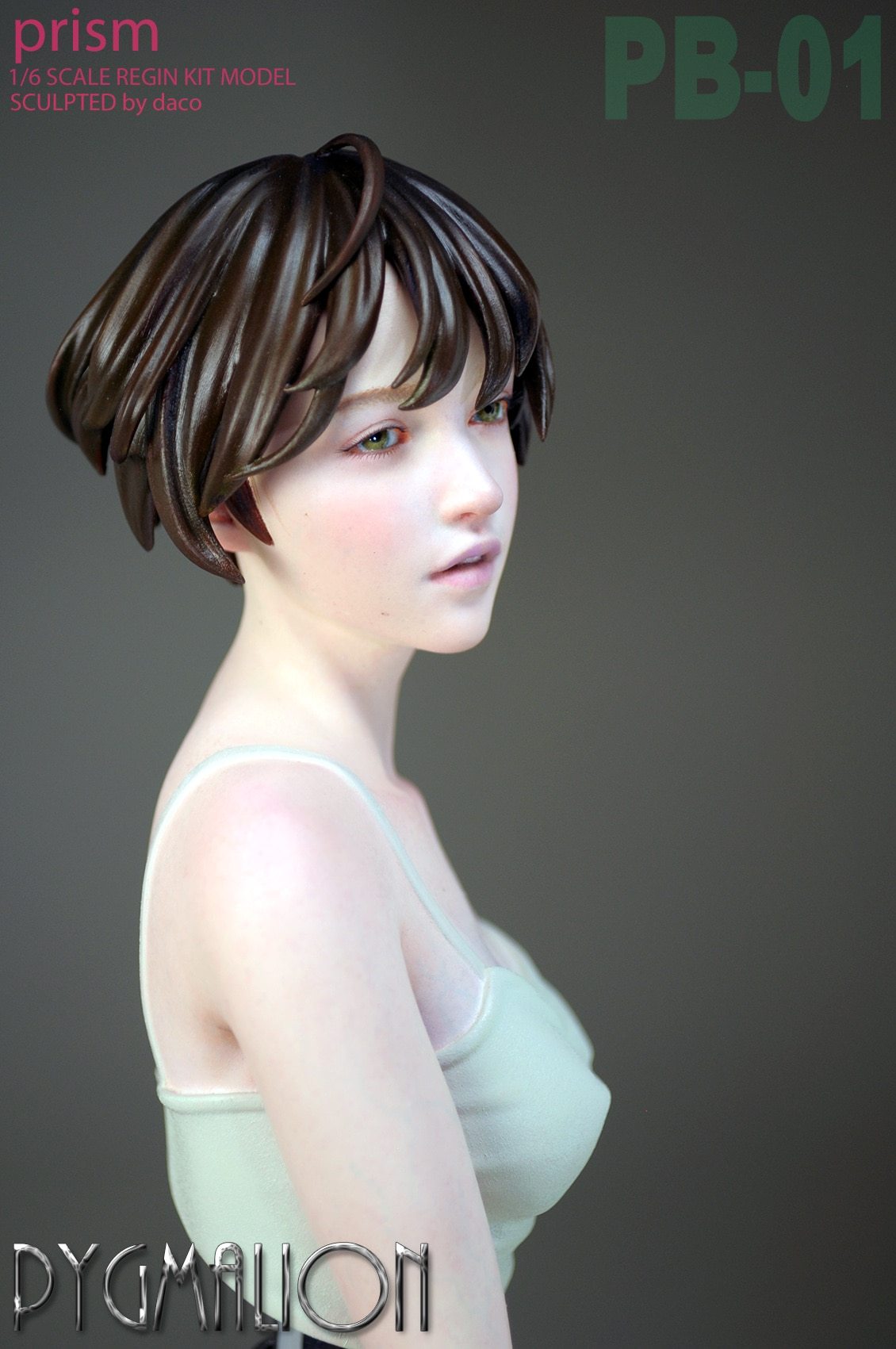 Garage Kit DPBY DACO female bust ratio unknown gk hand-made white model PB-01 black-haired girl