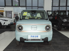 Geely Automobile-panda mini