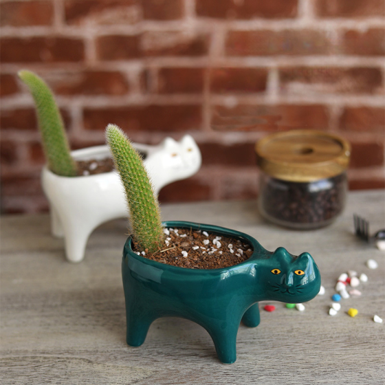 Creative succulent ceramic flower pot cute cat monkey tail saguaro cactus flower pot Tailless cat succulent flower pot