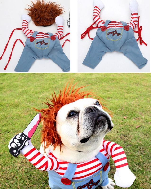 Pets funny clothes funny dog with knife clothes cat dog funny with knife clothes