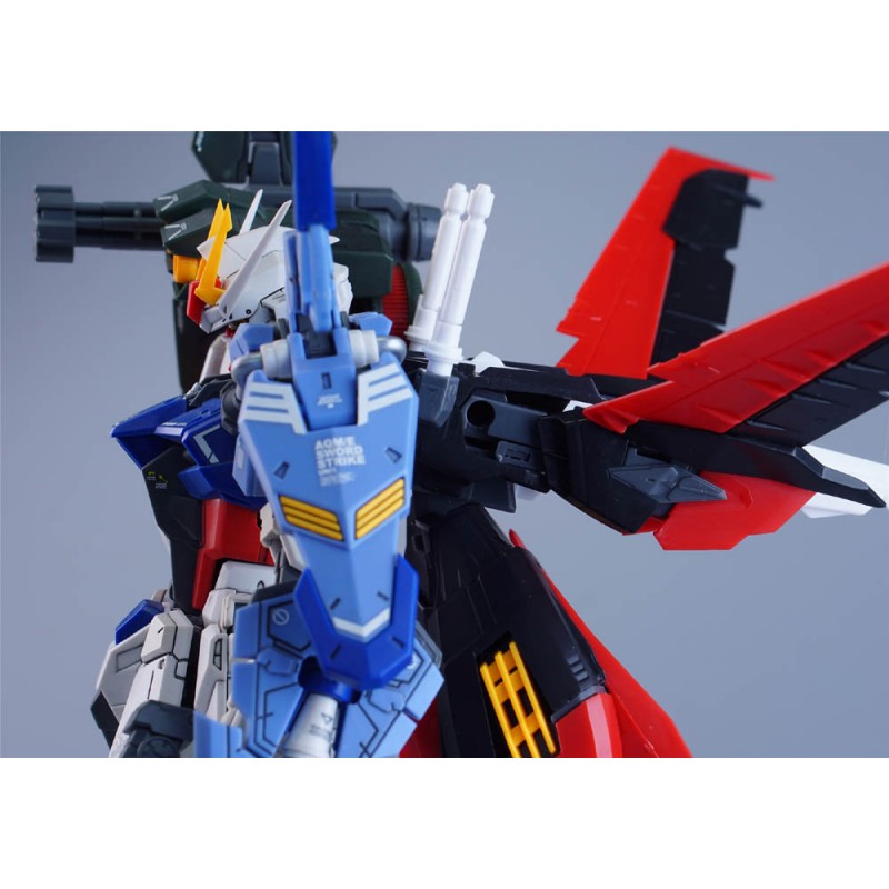 PHOENIX MODEL SKYGRASPER BACKPACK MG KIT