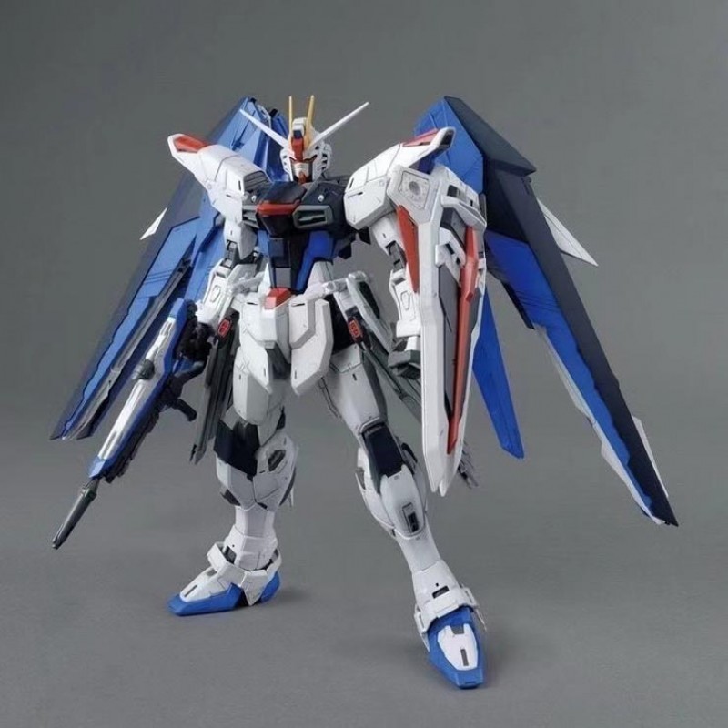 MODONG 6650  MG 1/100 FREEDOM 2.0 DETAIL UP MODEL KIT