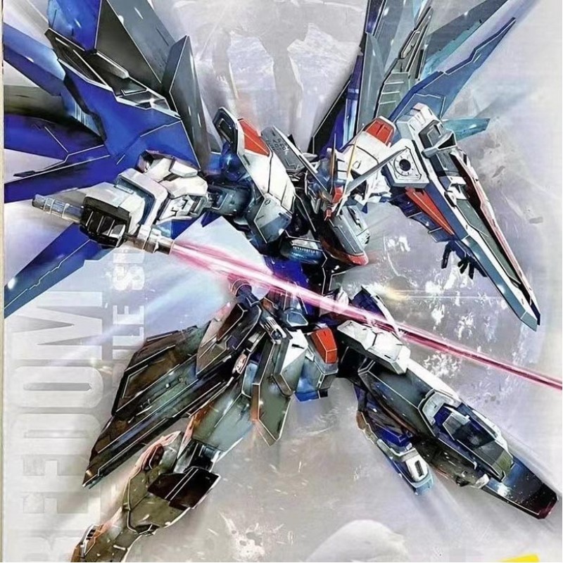 MODONG 6650  MG 1/100 FREEDOM 2.0 DETAIL UP MODEL KIT