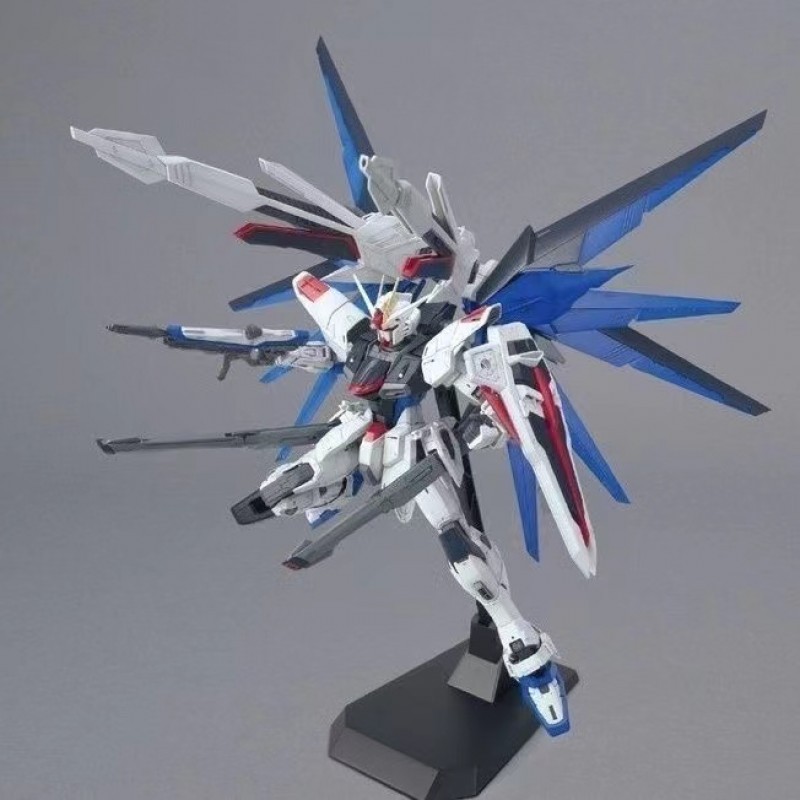 MODONG 6650  MG 1/100 FREEDOM 2.0 DETAIL UP MODEL KIT