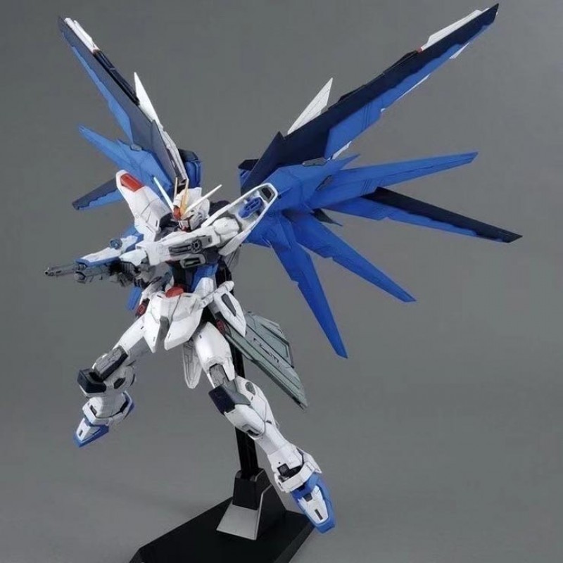 MODONG 6650  MG 1/100 FREEDOM 2.0 DETAIL UP MODEL KIT