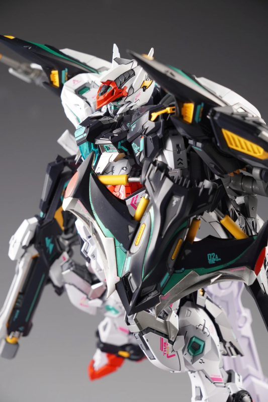 IN ERA THUNDERBOLT RMD MANTA EQU VER
