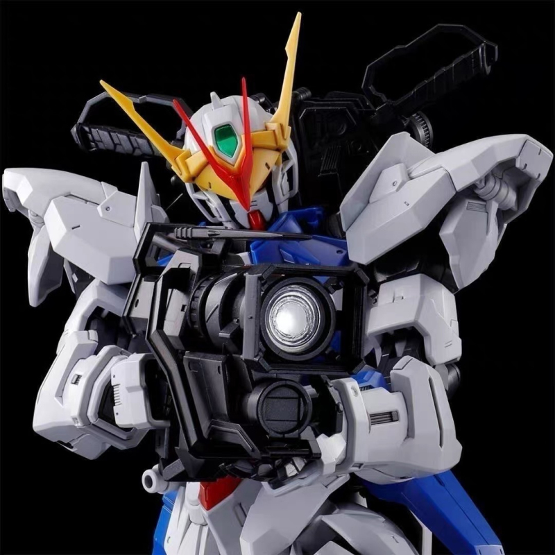 TIGER MODEL 1/100 MG OUT FRAME D KIT
