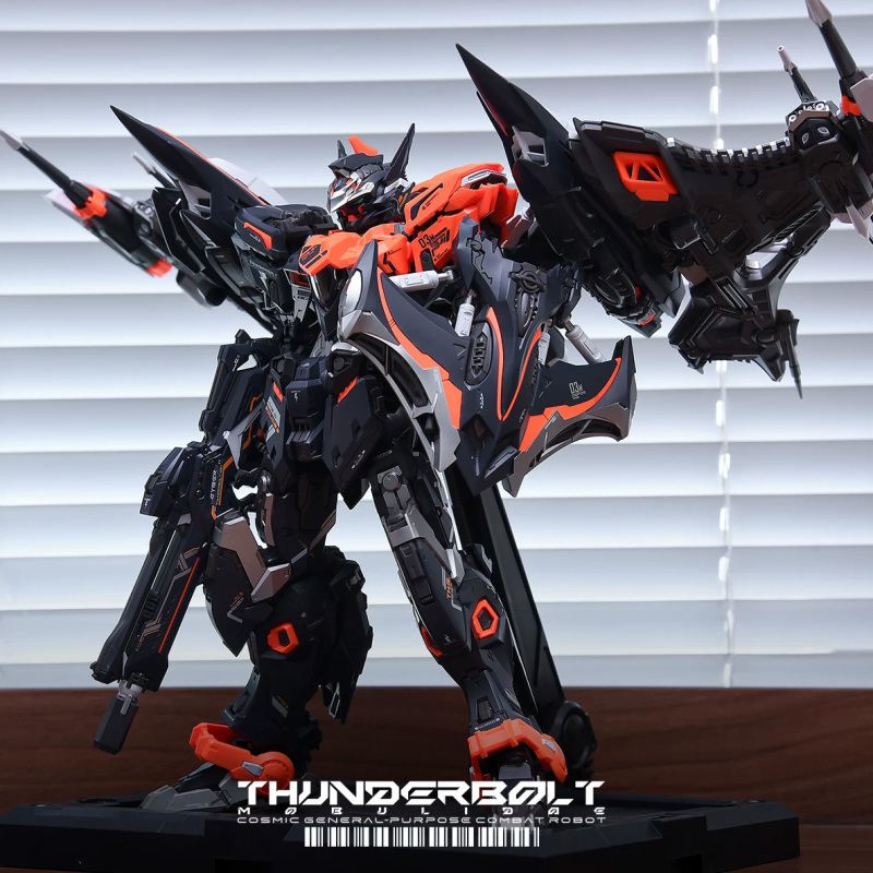 IN ERA THUNDERBOLT RMD MANTA NOIR VER