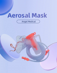 Aerosol Mask