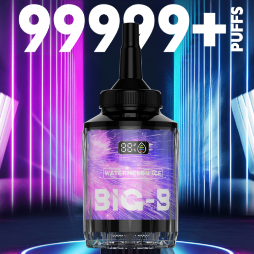 ELFWORLD BIG-B 100000 PUFFS E-HOOKAH HEAD AND DISPOSABLE VAPE DEVICE WHOLESALE (100000 PUFFS)
