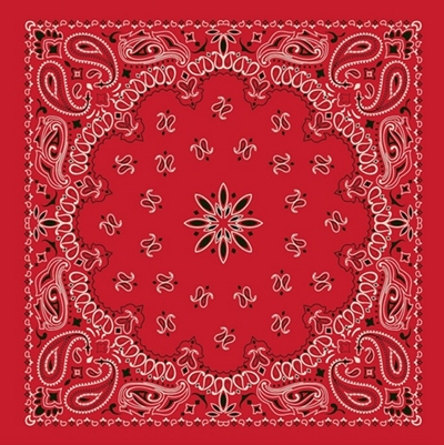 YLhighton cotton head scarf paisley bandana wristband