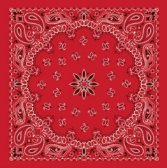 YLhighton cotton head scarf paisley bandana wristband