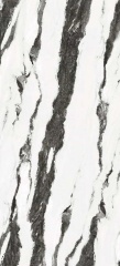 Panda White (Whole body)
