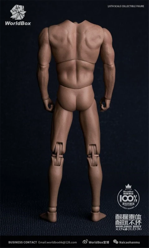 WORLDBOX AT017 1/6 Wide Shoulder Male Figure Body Fit Long Neck Head Model Toy