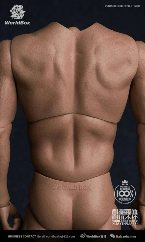 WORLDBOX AT017 1/6 Wide Shoulder Male Figure Body Fit Long Neck Head Model Toy
