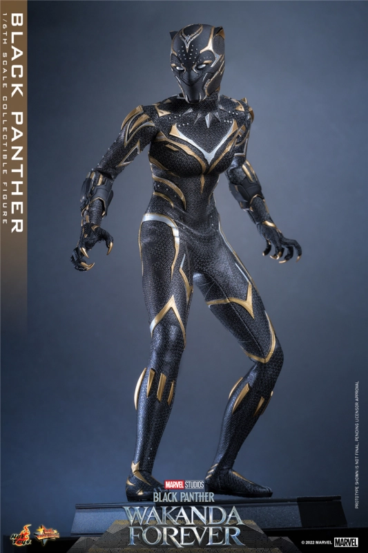 In Stock New Hot Toys MMS675 WAKANDA FOREVER 1/6 BLACK PANTHER ACTION FIGURE