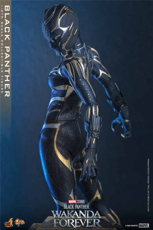In Stock New Hot Toys MMS675 WAKANDA FOREVER 1/6 BLACK PANTHER ACTION FIGURE