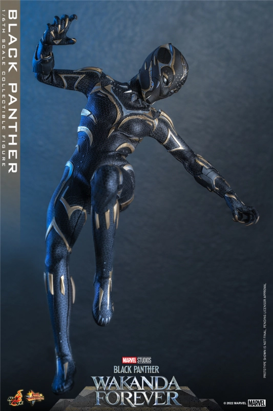 In Stock New Hot Toys MMS675 WAKANDA FOREVER 1/6 BLACK PANTHER ACTION FIGURE