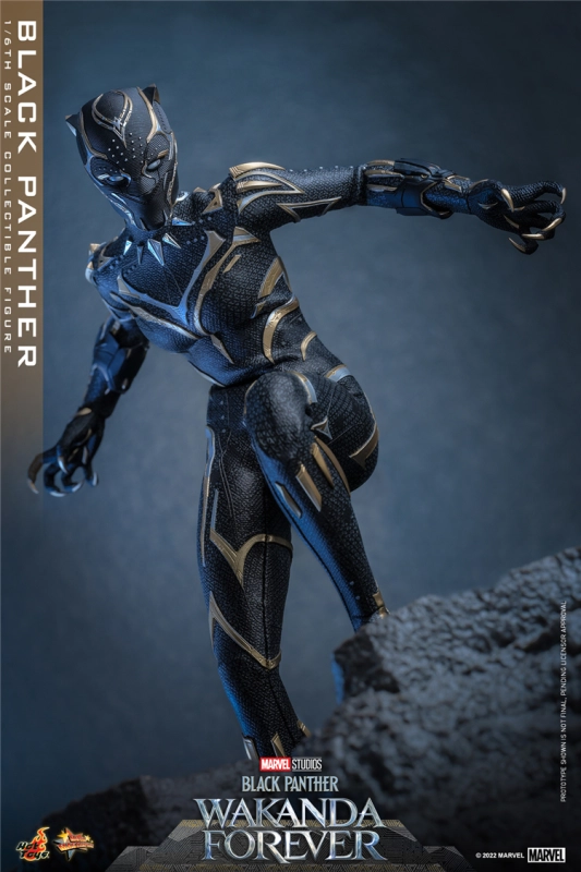 In Stock New Hot Toys MMS675 WAKANDA FOREVER 1/6 BLACK PANTHER ACTION FIGURE