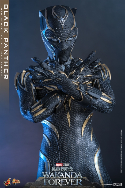 In Stock New Hot Toys MMS675 WAKANDA FOREVER 1/6 BLACK PANTHER ACTION FIGURE