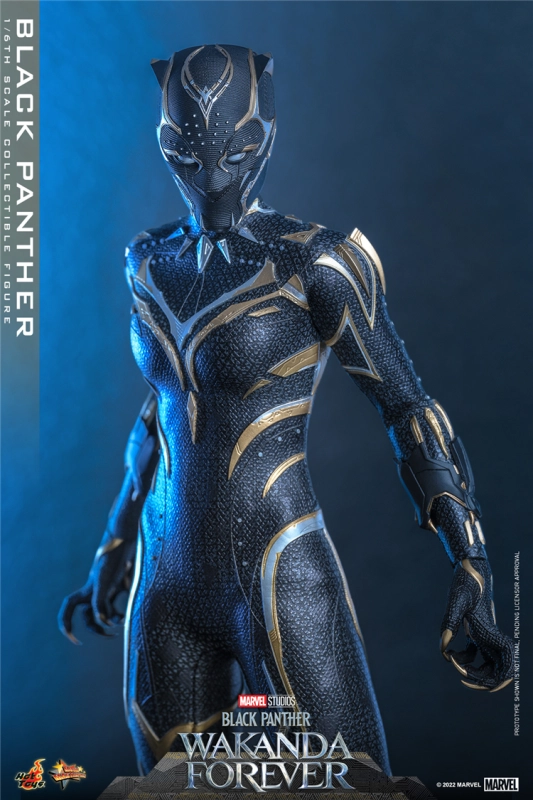 In Stock New Hot Toys MMS675 WAKANDA FOREVER 1/6 BLACK PANTHER ACTION FIGURE