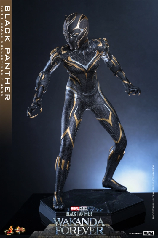 In Stock New Hot Toys MMS675 WAKANDA FOREVER 1/6 BLACK PANTHER ACTION FIGURE