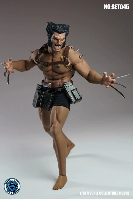 In Stock SUPER DUCK SET045 1/6 Wolverine Experimental Ver. Head Sculpt W/ Model Accessory
