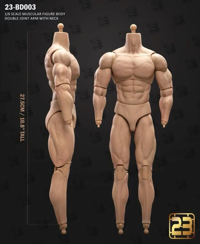 In Stock 23Toys 23-BD003 1/6 Muscular Male Action Figure Body For 12" Hot Toy Head