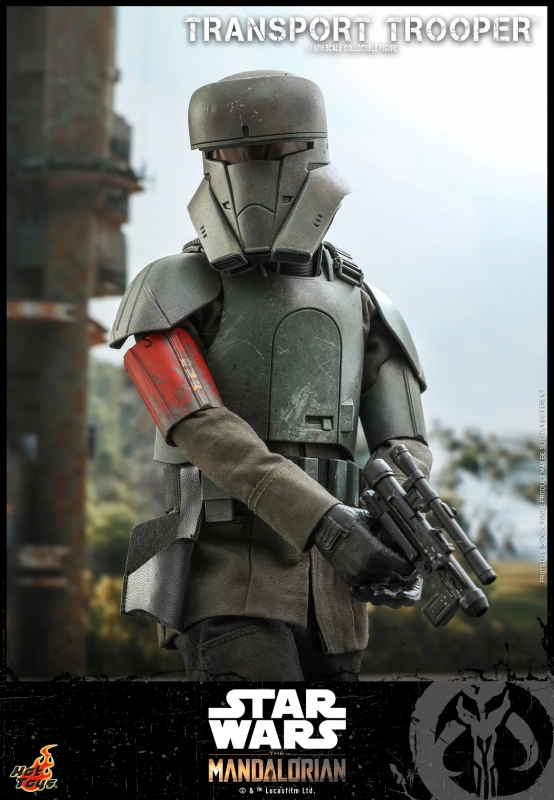 In Stock  Hot Toys TMS030 Star Wars The Mandalorian Transport Trooper 1/6 Figure