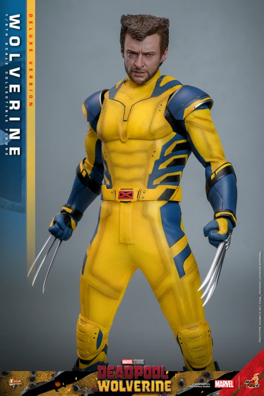 IN STOCK HOTTOYS 1/6 MMS754 X-MEN DEADOOL AND WOLVERINE - DELUXE VERSION
