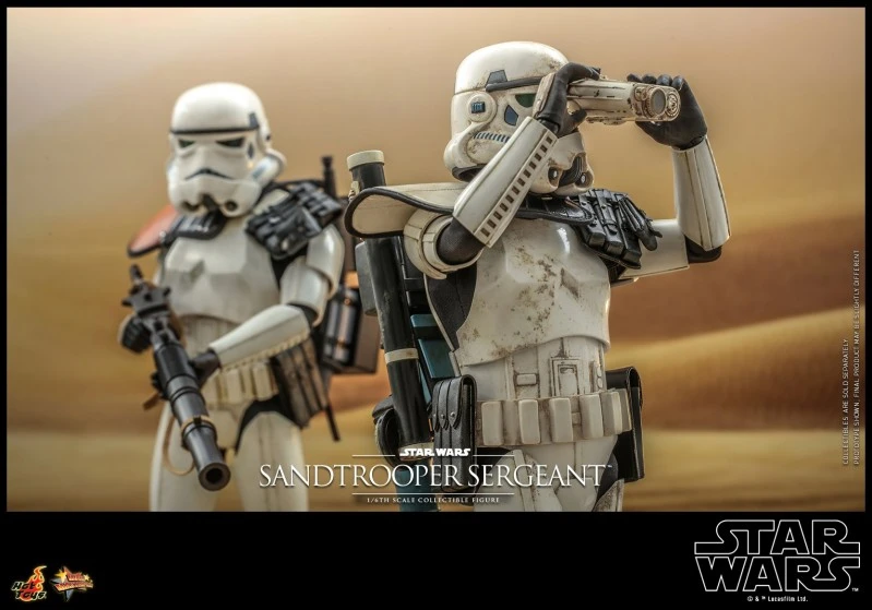 IN STOCK HOTTOYS 1/6 MMS721 SANDTROOPER SERGEANT