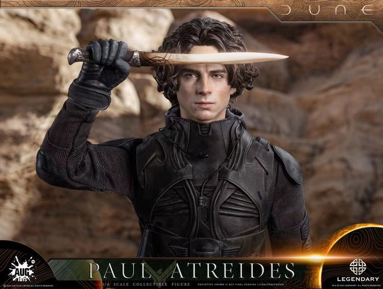 [Pre-order]AUG TOYS DL003 1/6 Dune Paul Atreides Chalamet 12" Male Action Figure