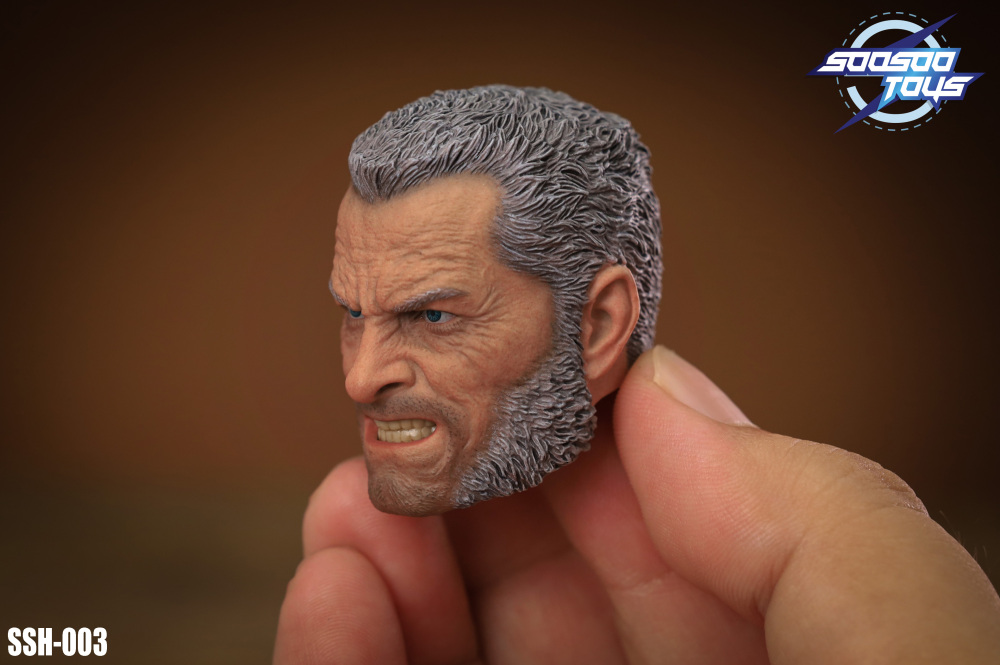 In Stock SOOSOOTOYS 1/6scale collectible SSH-003:Old Logan