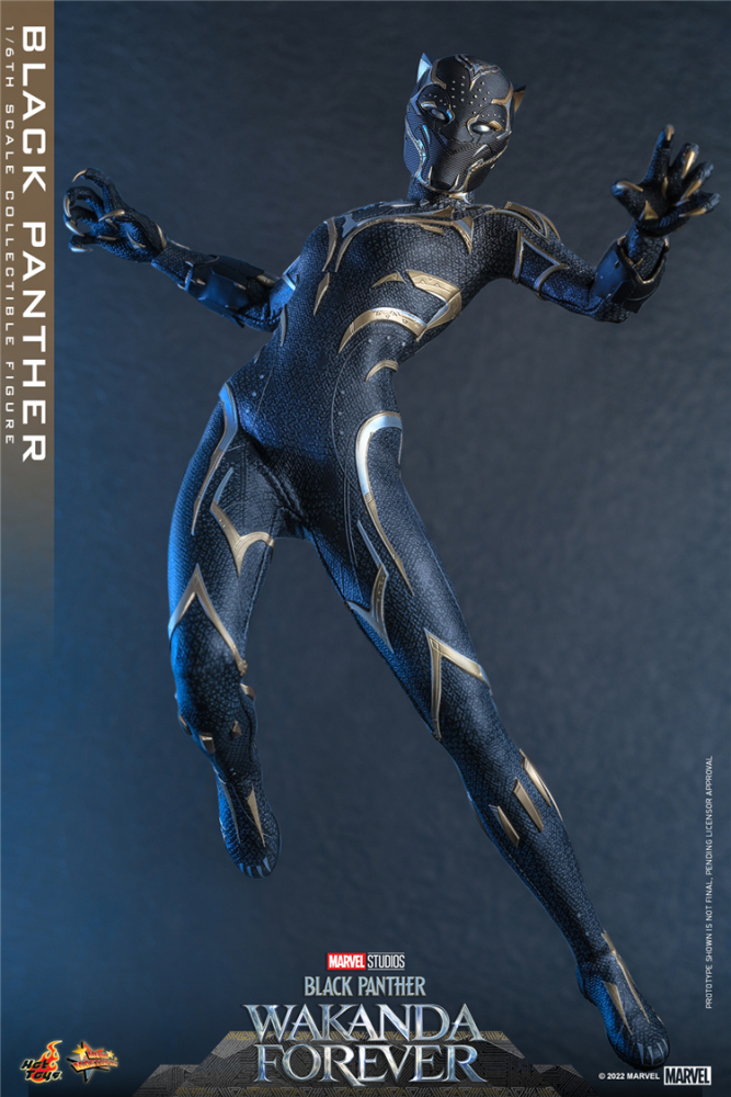 In Stock New Hot Toys MMS675 WAKANDA FOREVER 1/6 BLACK PANTHER ACTION FIGURE