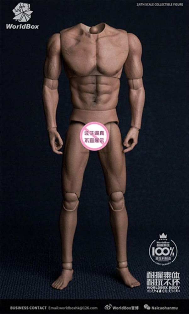 WORLDBOX AT017 1/6 Wide Shoulder Male Figure Body Fit Long Neck Head Model Toy