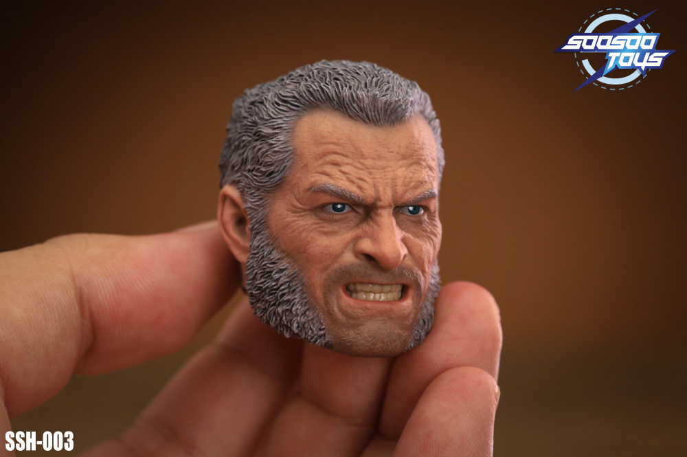 In Stock SOOSOOTOYS 1/6scale collectible SSH-003:Old Logan