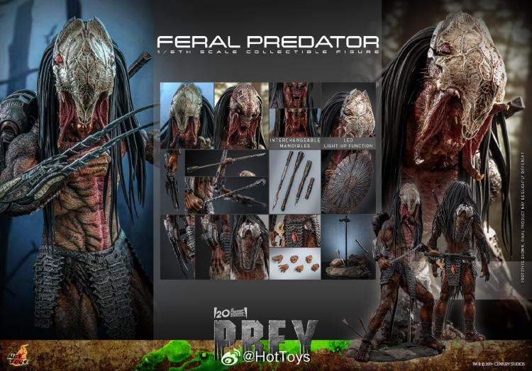 In Stock Hot Toys TMS114 The Prey Feral Predator 1/6 Scale