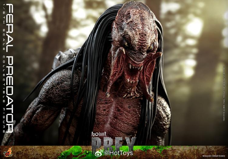 In Stock Hot Toys TMS114 The Prey Feral Predator 1/6 Scale Collectible Figure