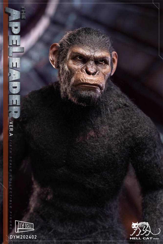 Pre-order Hellcat DYM202402ABC 1/6 Scale Ape Leader